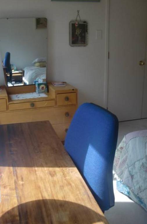 The Haven B & B Auckland Zimmer foto